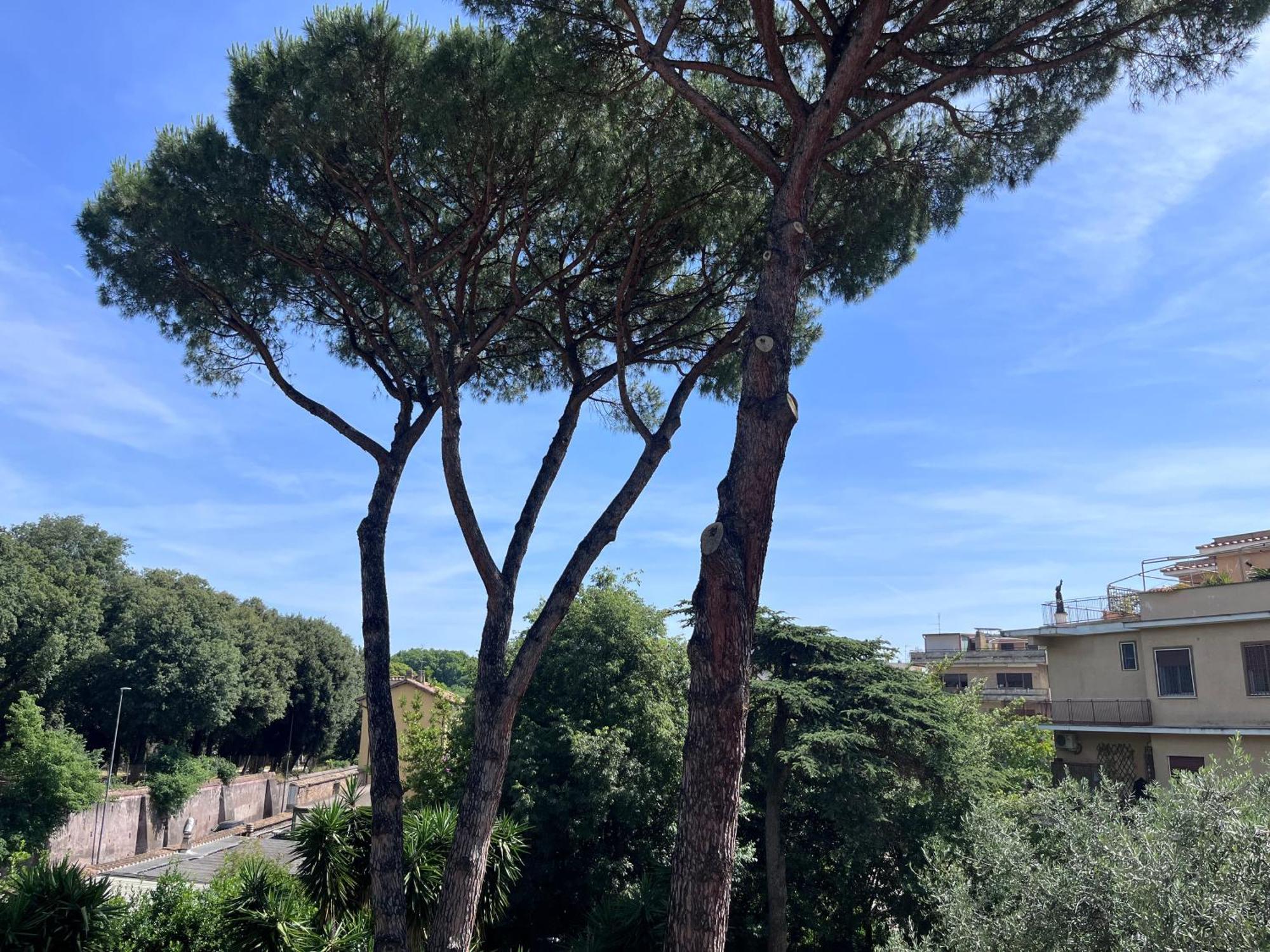 Casa vacanze Park San Pancrazio Roma